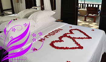 Manali Honeymoon Tour